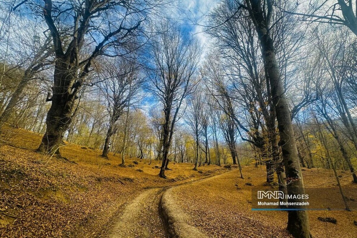 نمای پاییزی دریاچه چورت ساری