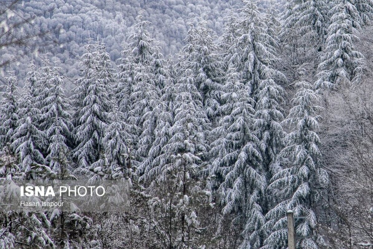 سوادکوه