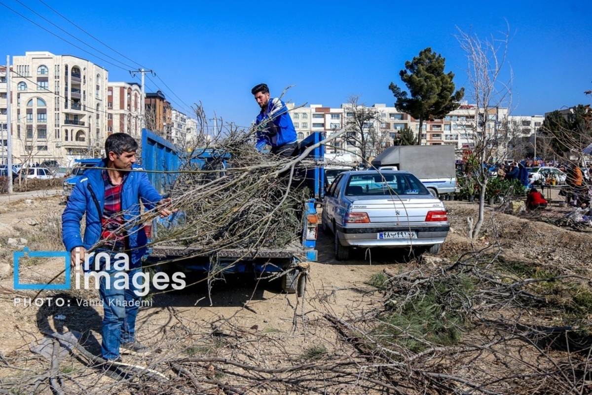 جشنواره غذا‌های سنتی