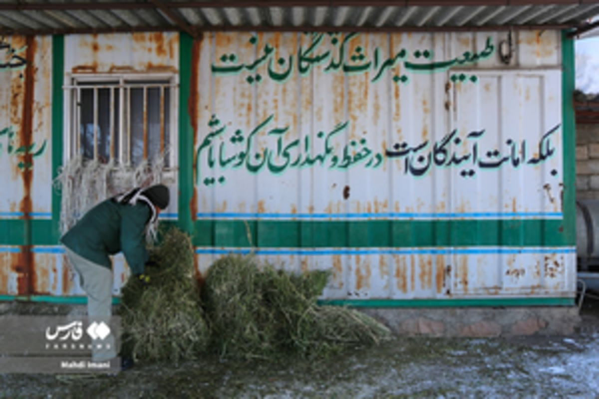 گشت و گذار مارال‌