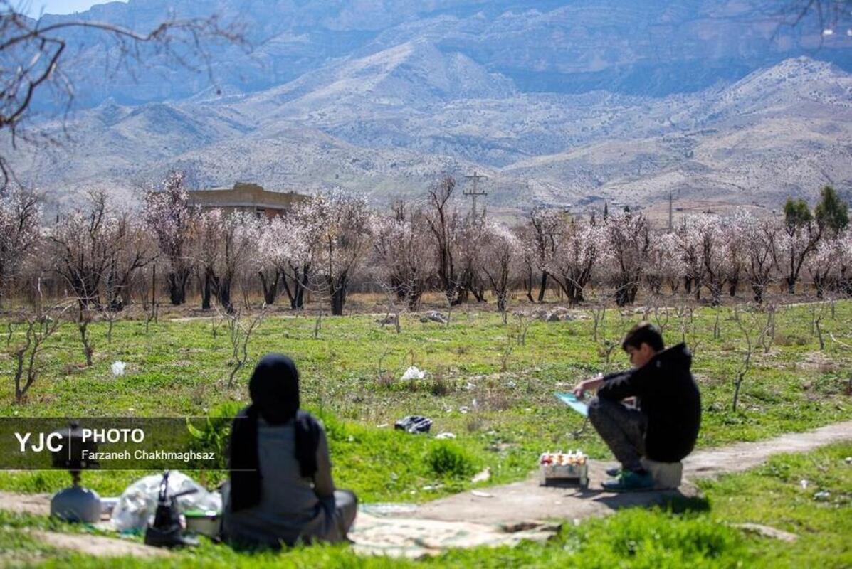 شکوفه‌های بهاری در مهارلو