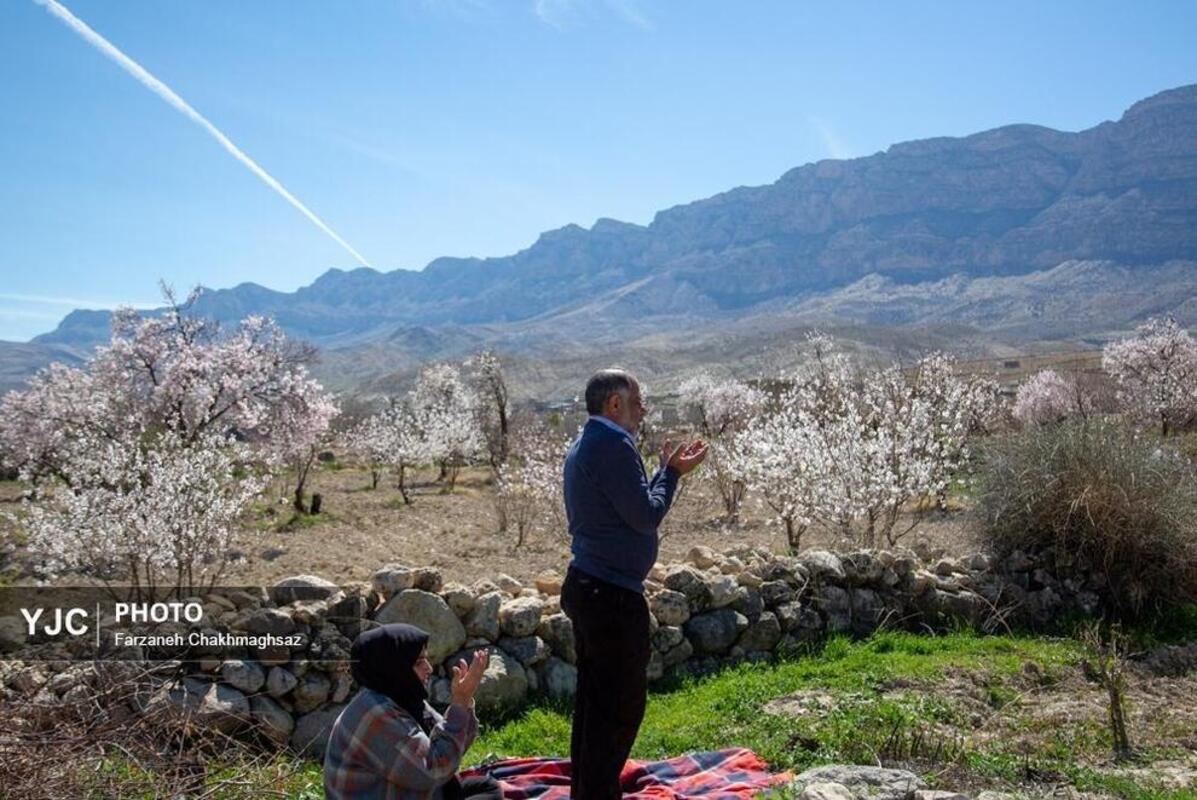 شکوفه‌های بهاری در مهارلو