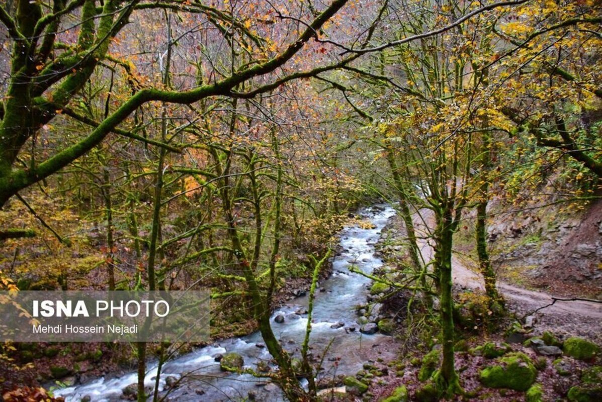 آبشار لاتون در آستارا
