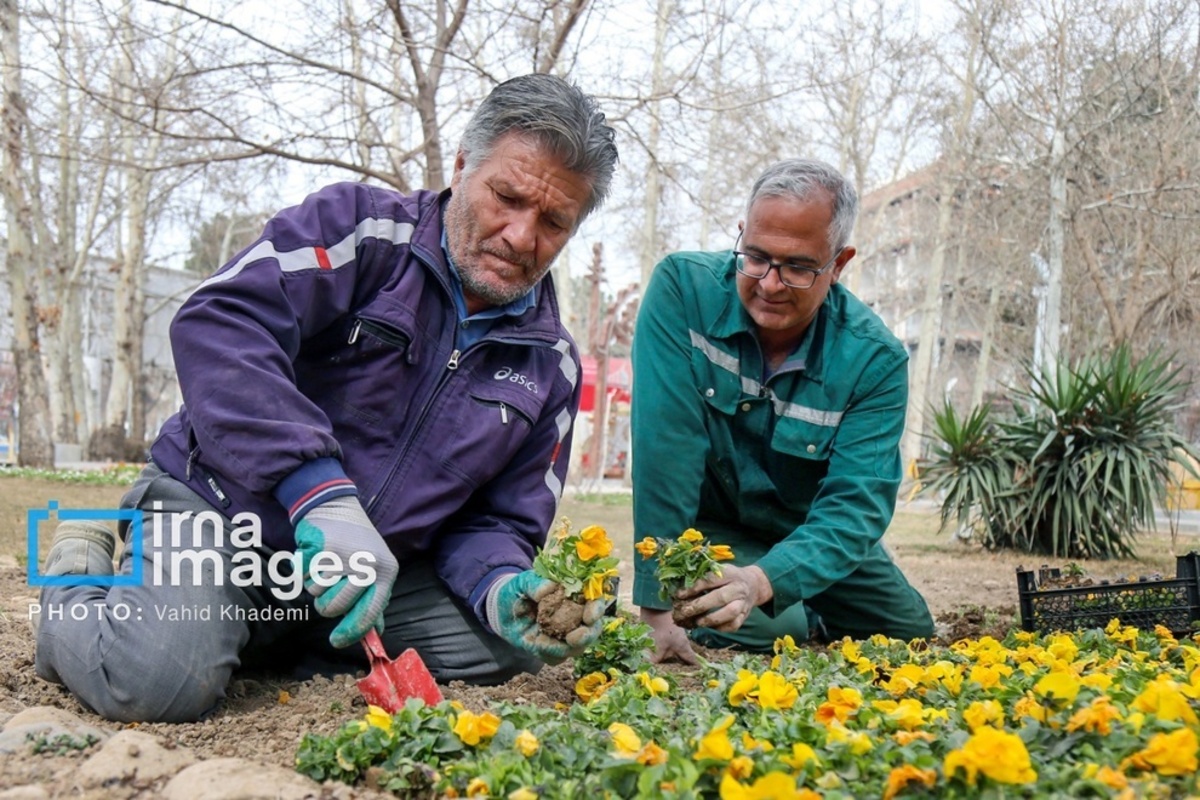 استقبال از بهار 