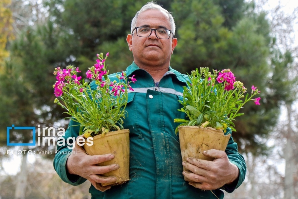 استقبال از بهار 