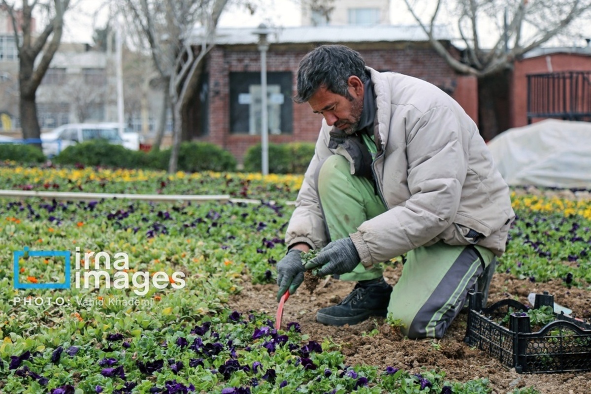 استقبال از بهار 