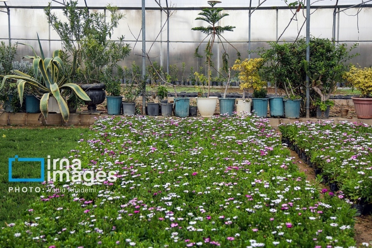 استقبال از بهار 