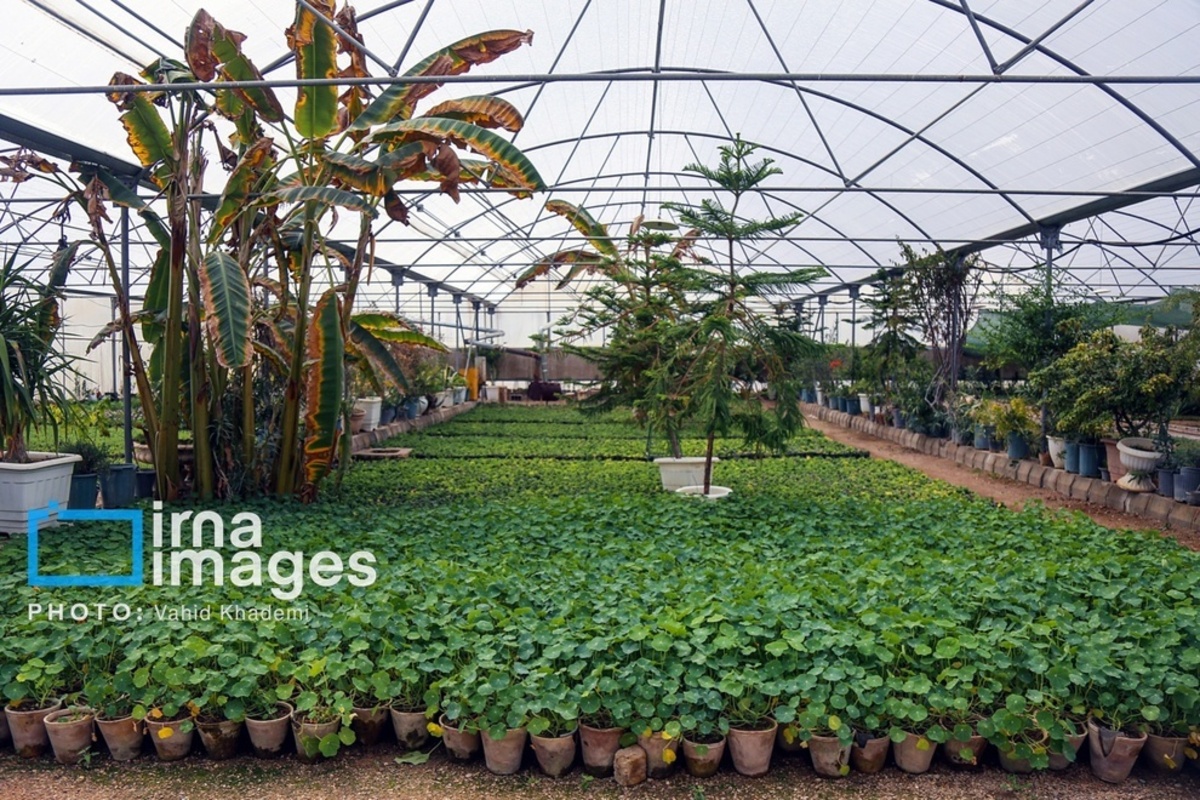 استقبال از بهار 