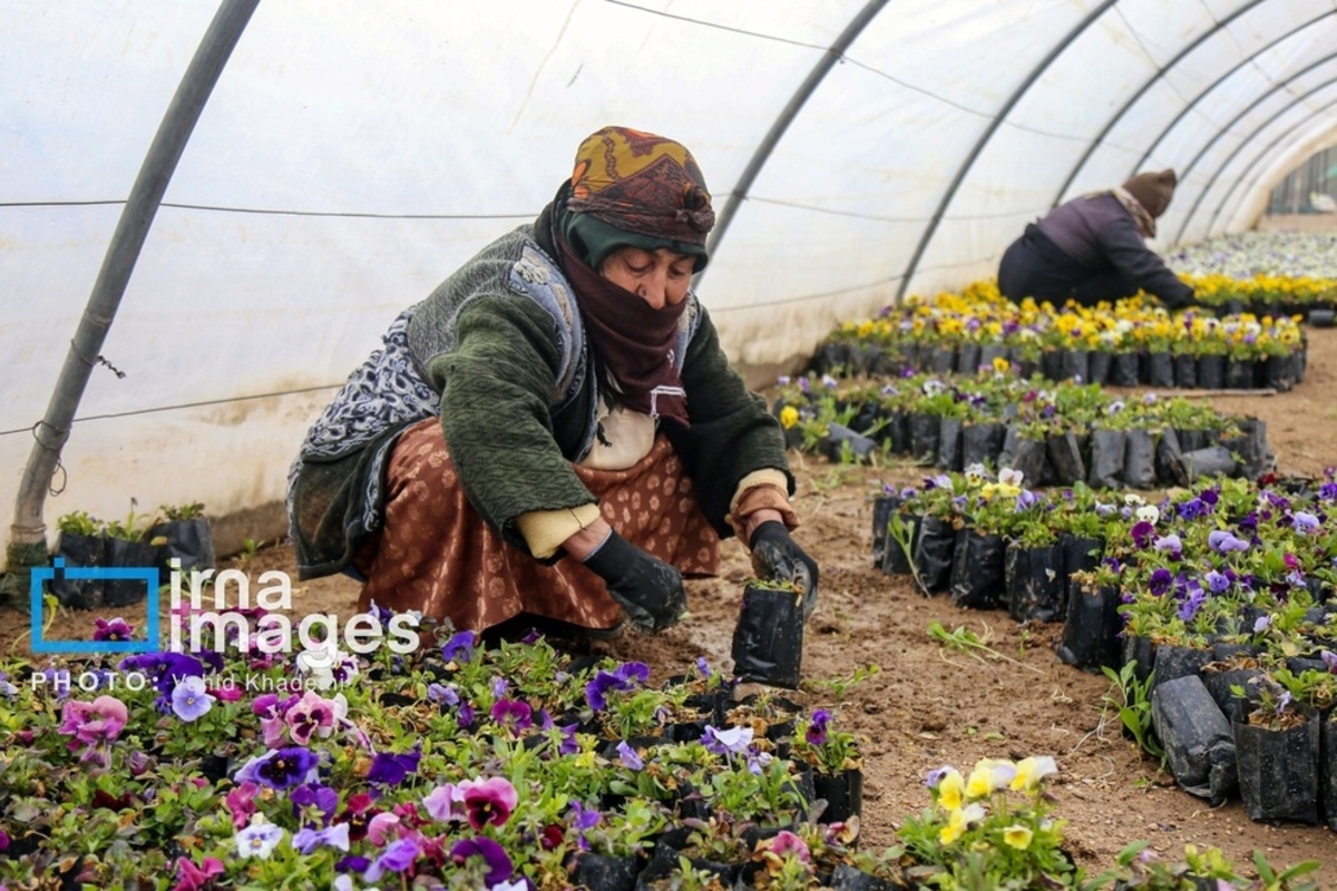 استقبال از بهار 