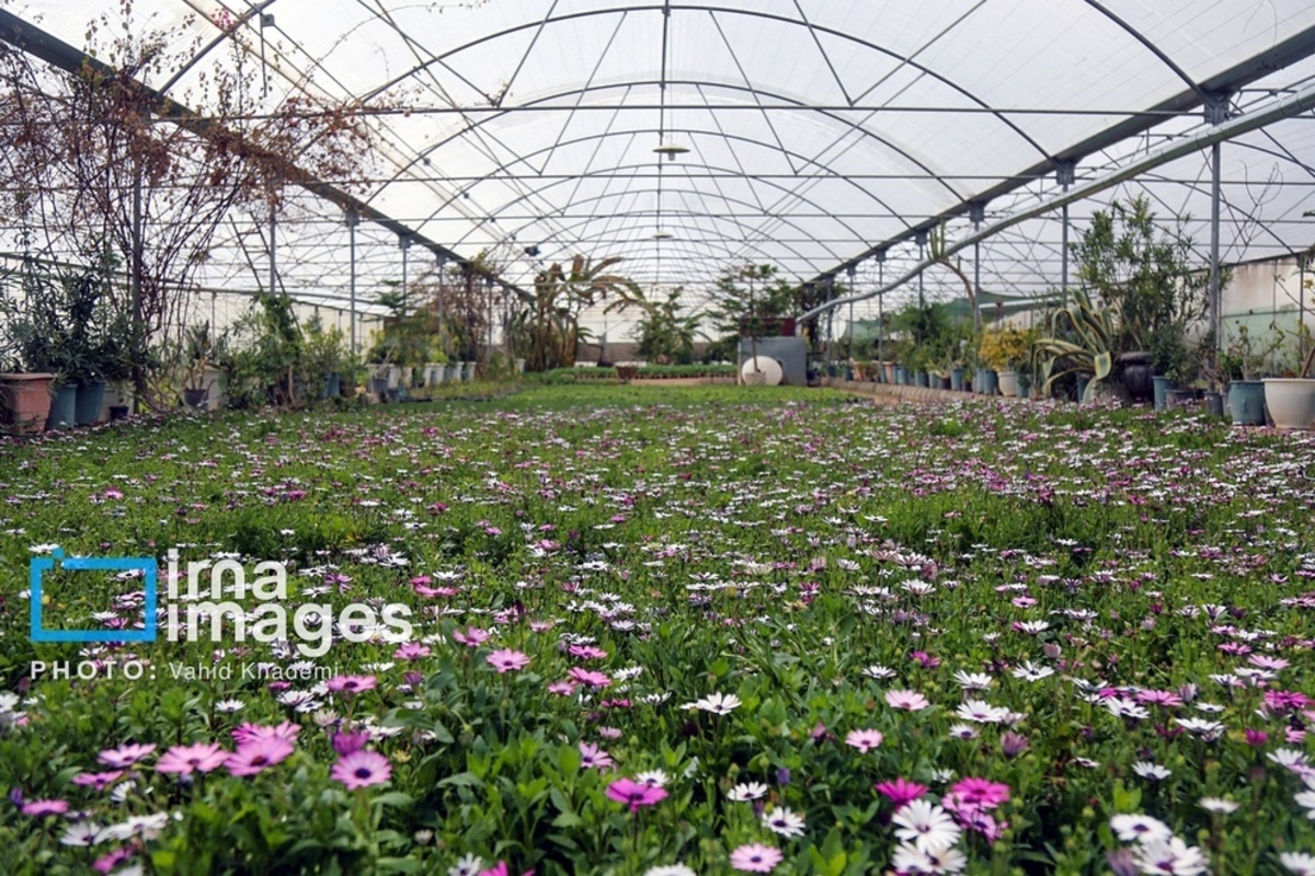 استقبال از بهار 