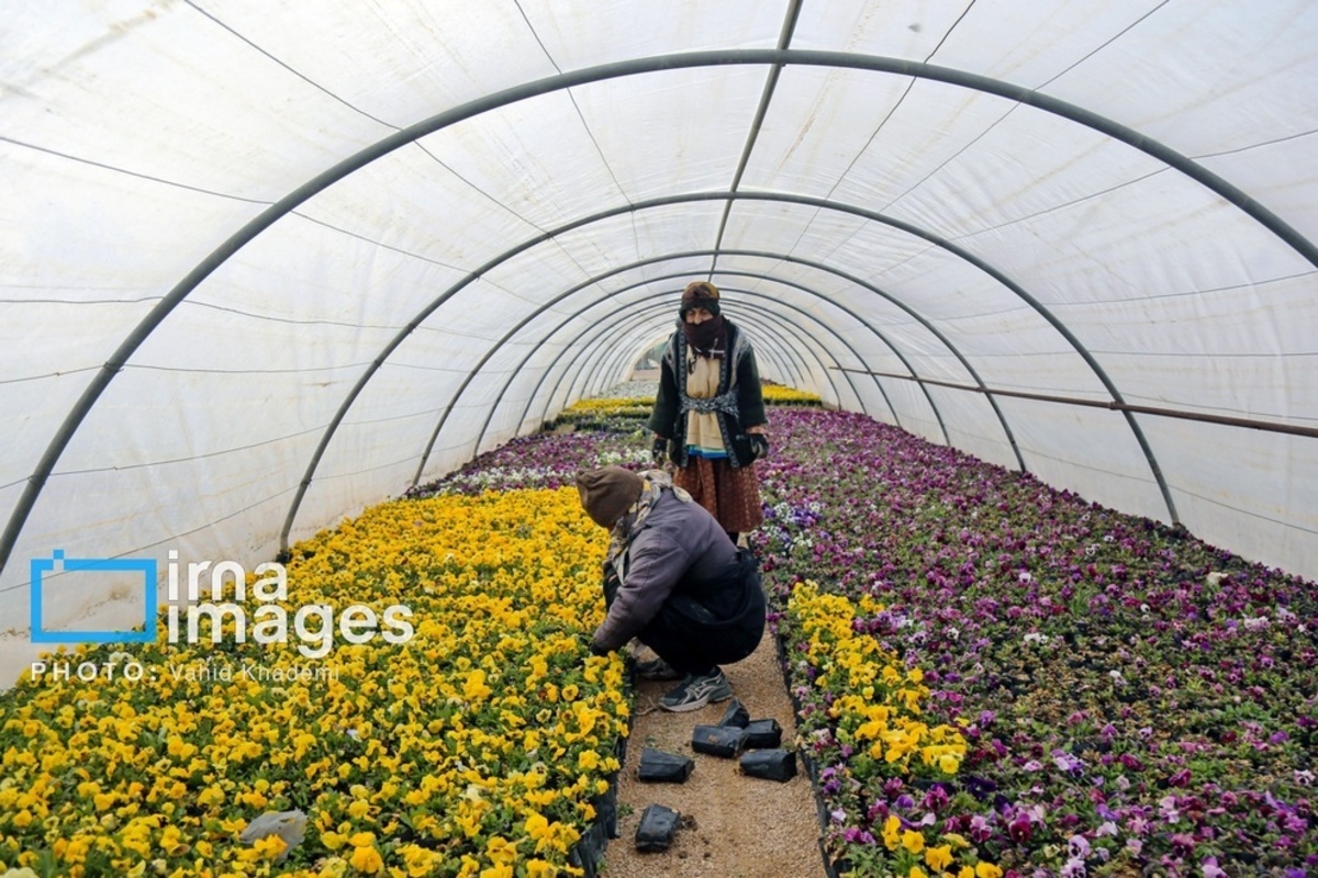 استقبال از بهار 