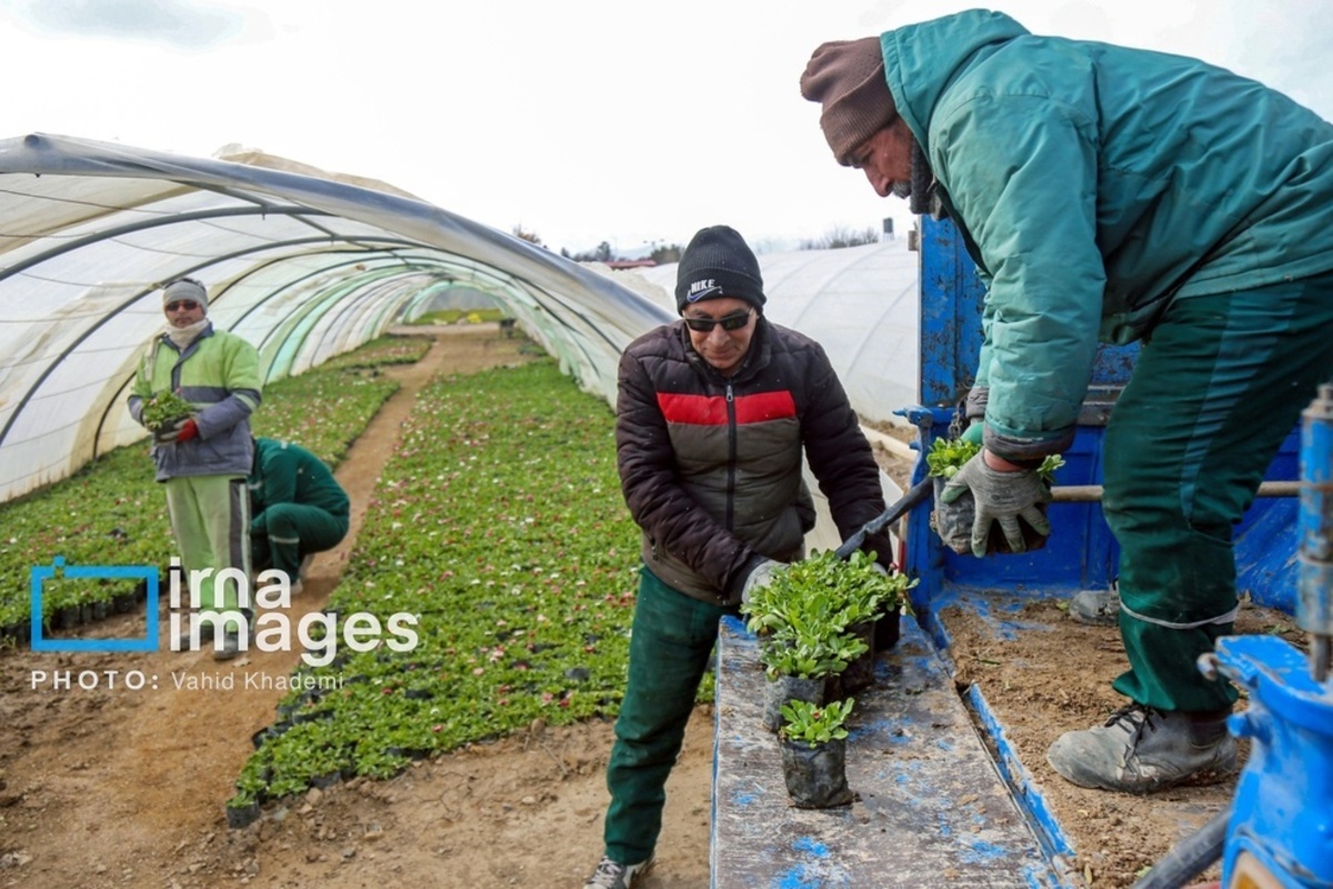 استقبال از بهار 