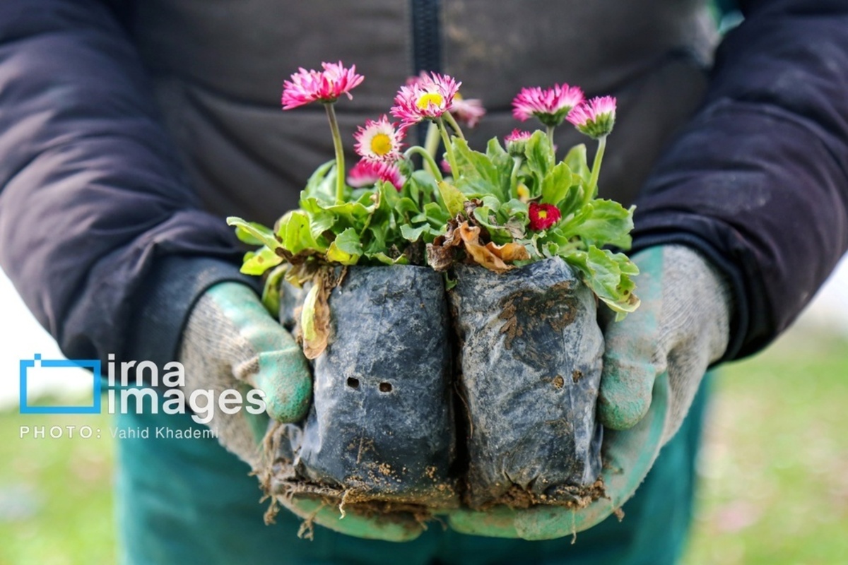 استقبال از بهار 