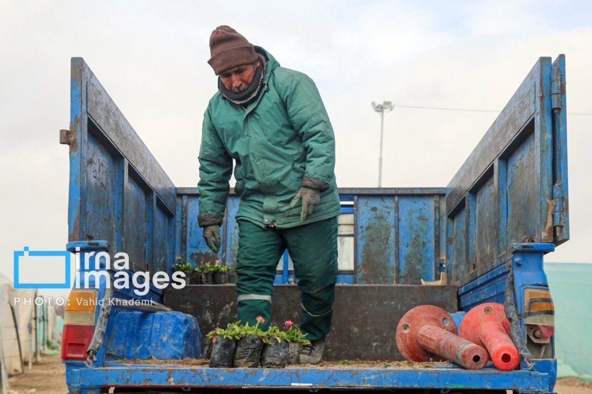 استقبال از بهار 