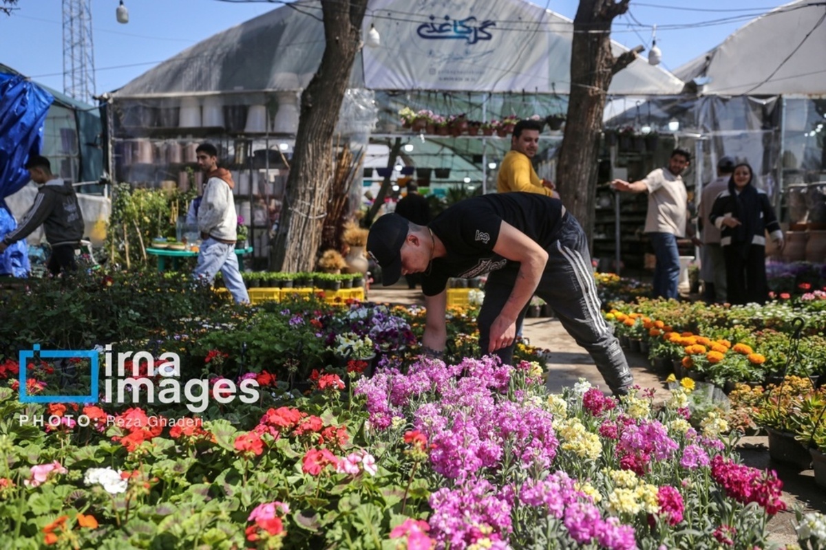بازار گل و گیاه در شیراز