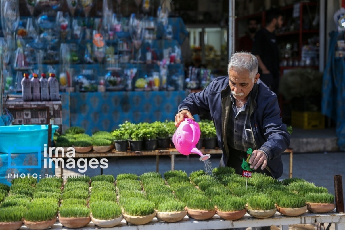 بازار گل و گیاه در شیراز