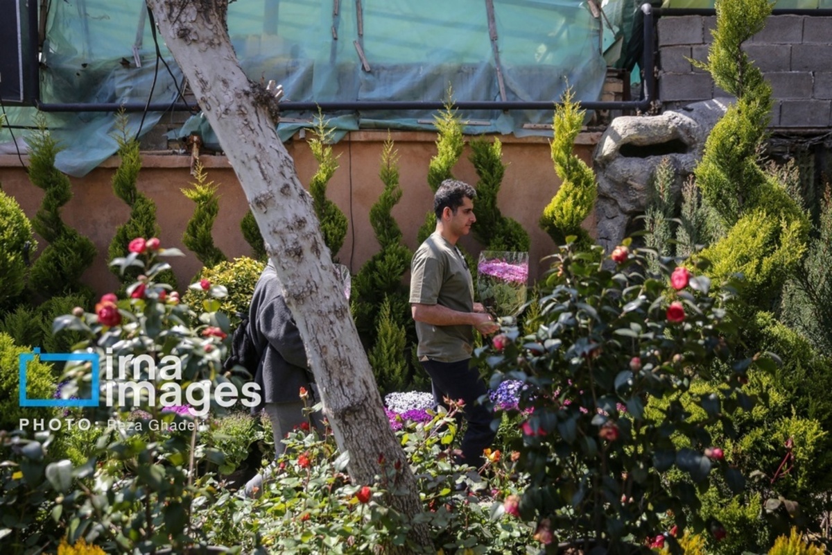 بازار گل و گیاه در شیراز