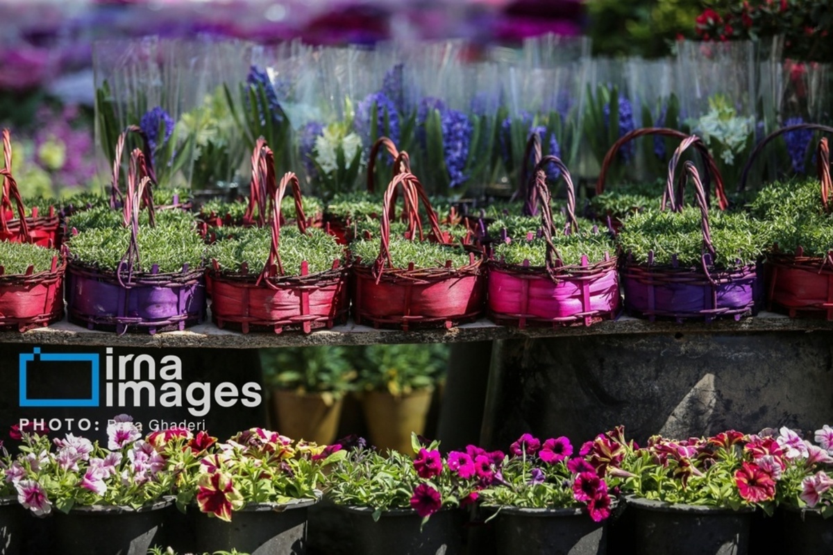 بازار گل و گیاه در شیراز