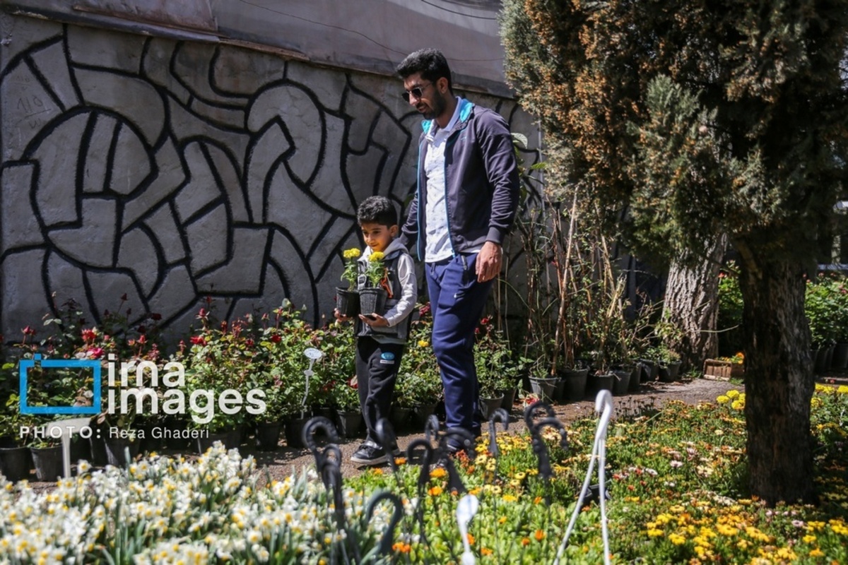 بازار گل و گیاه در شیراز