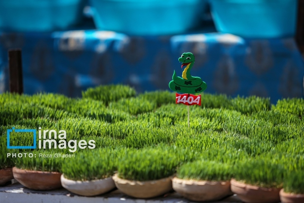 بازار گل و گیاه در شیراز