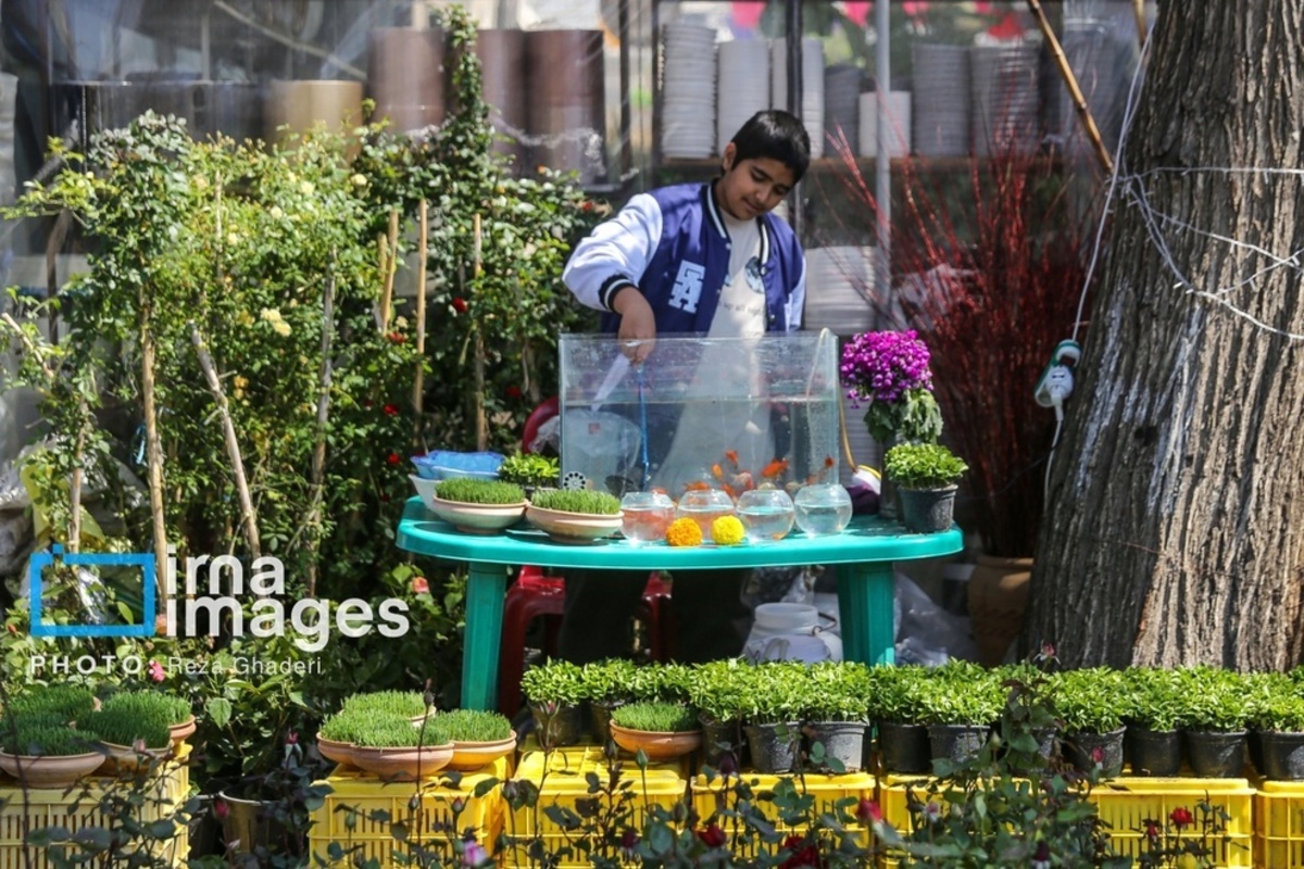 بازار گل و گیاه در شیراز