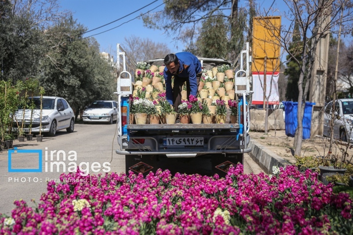 بازار گل و گیاه در شیراز
