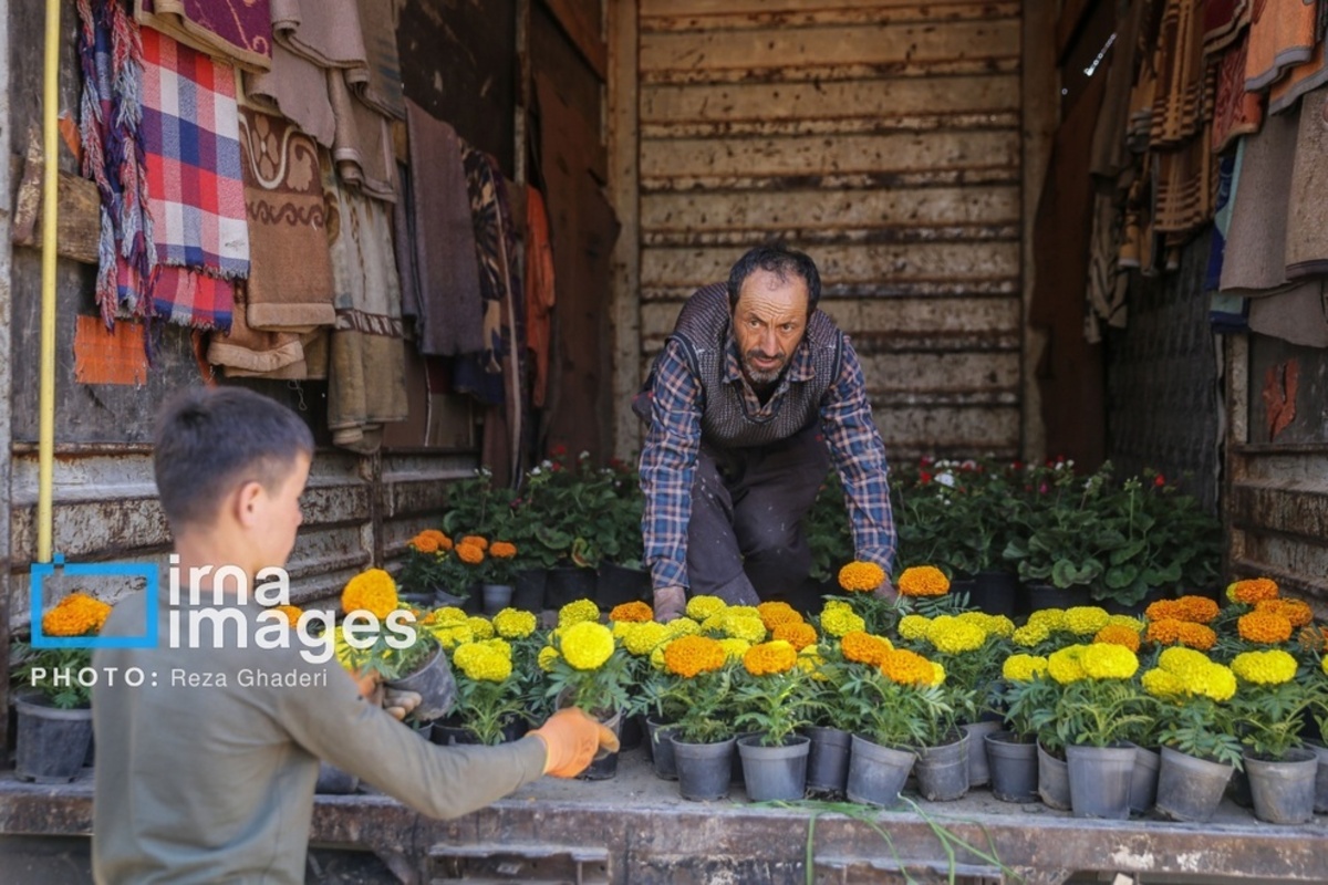 بازار گل و گیاه در شیراز