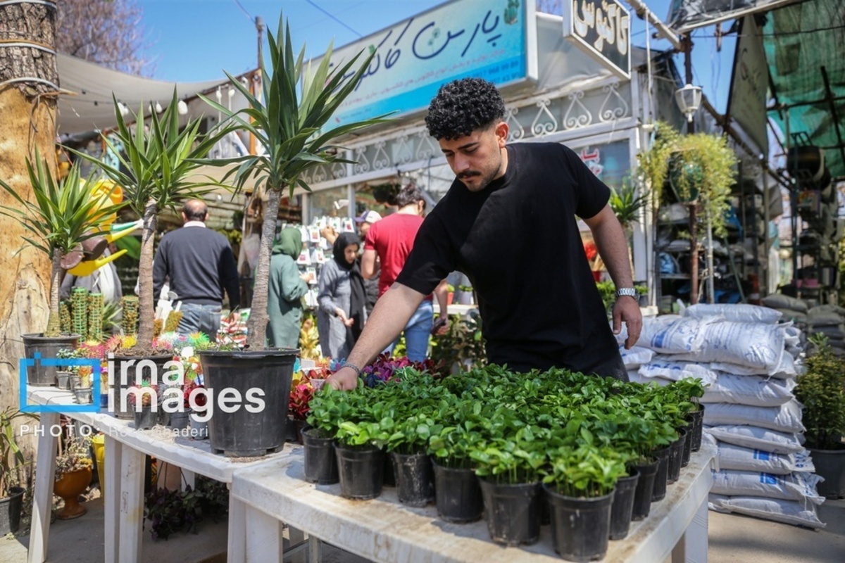 بازار گل و گیاه در شیراز