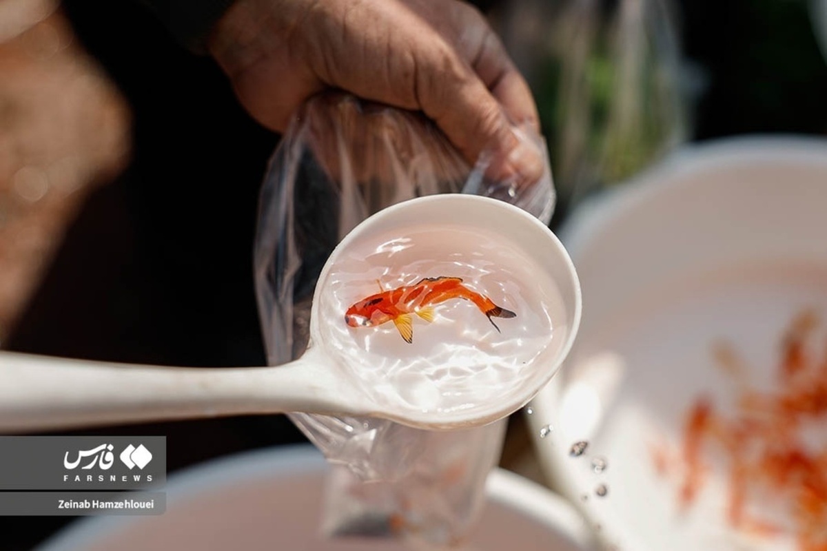  بازار تجریش