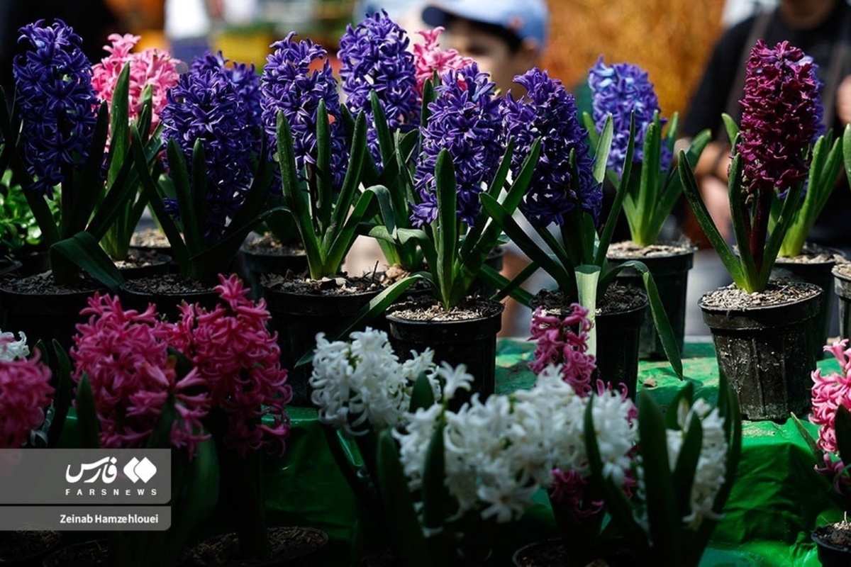  بازار تجریش