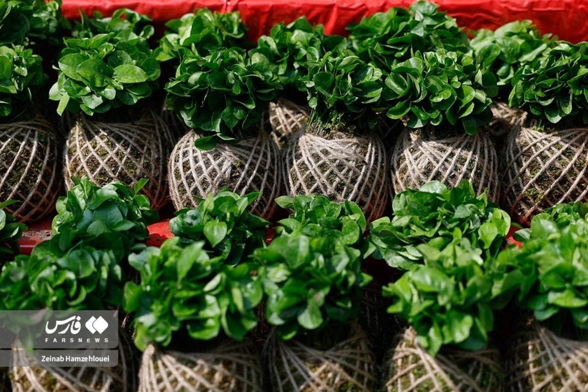  بازار تجریش