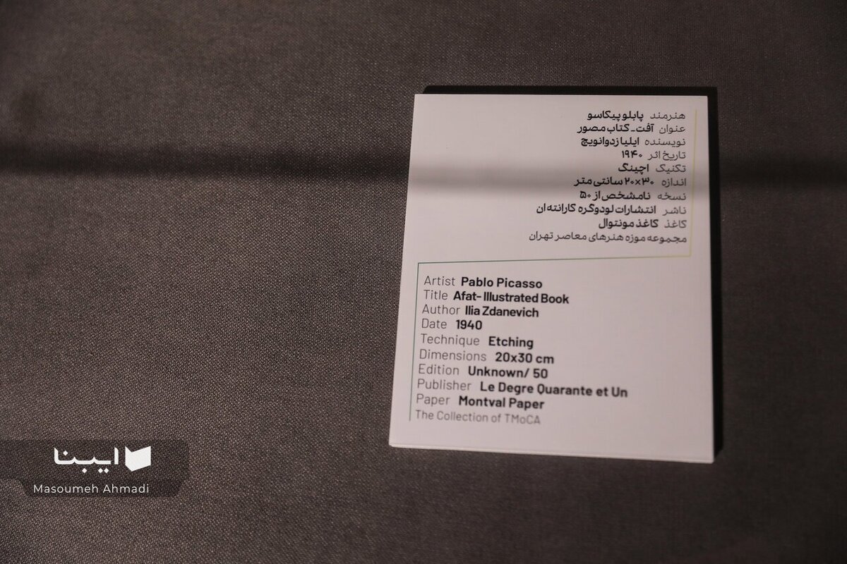 عکس روز