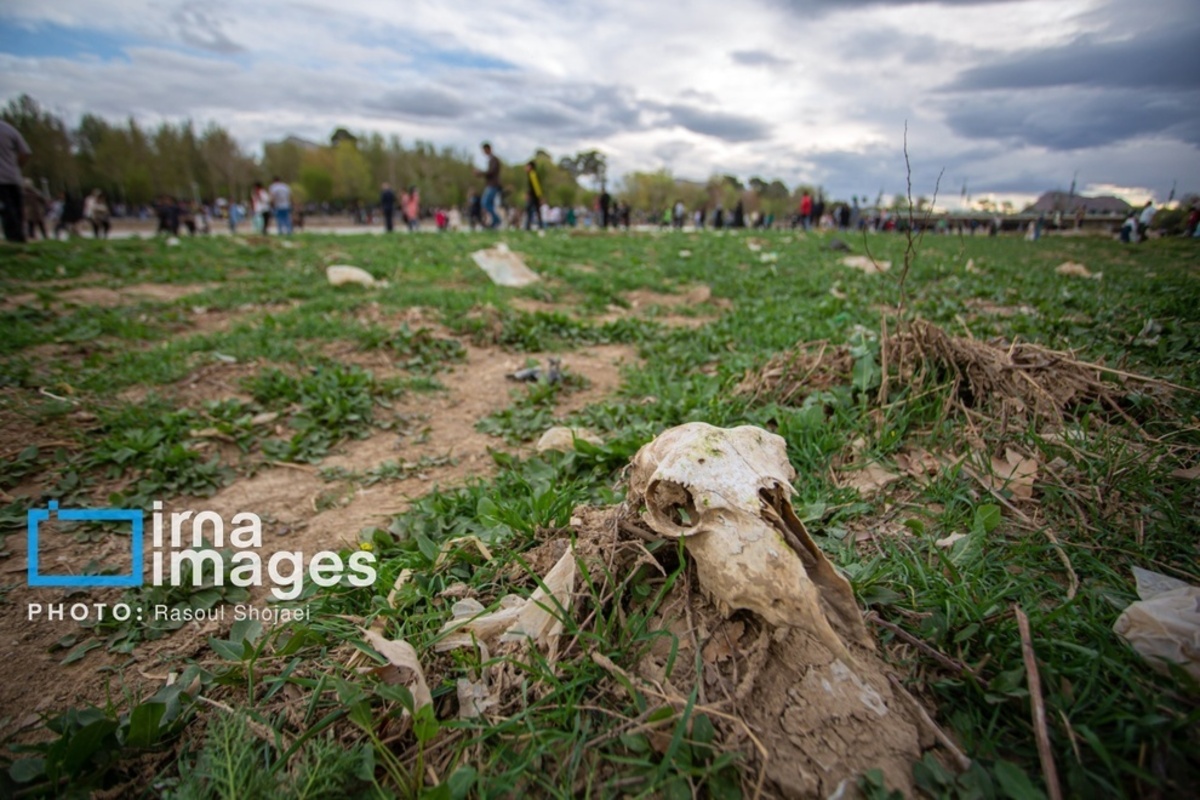 زاینده‌رود