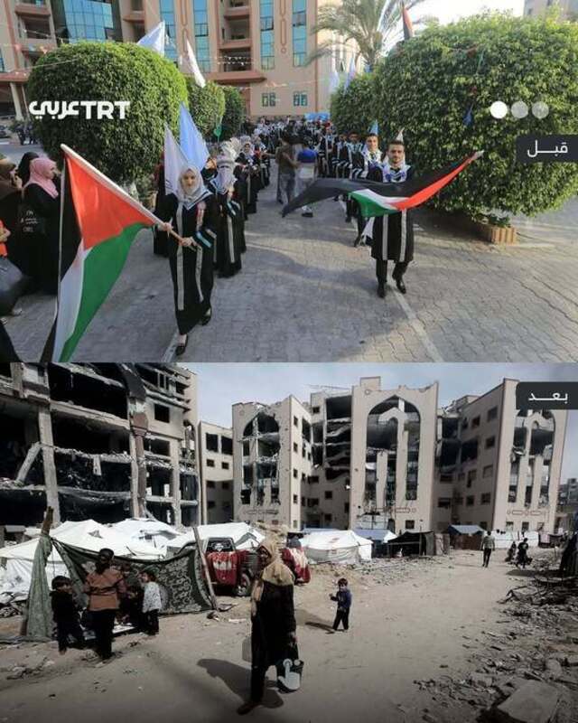 دانشگاه اسلامی