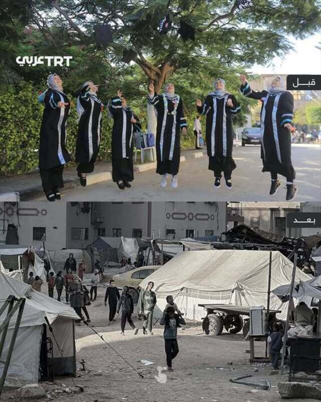 دانشگاه اسلامی