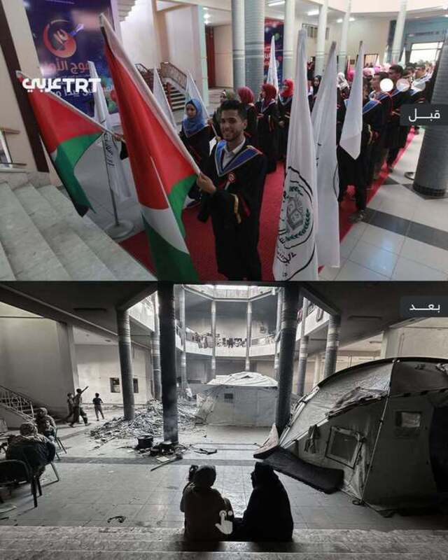 دانشگاه اسلامی