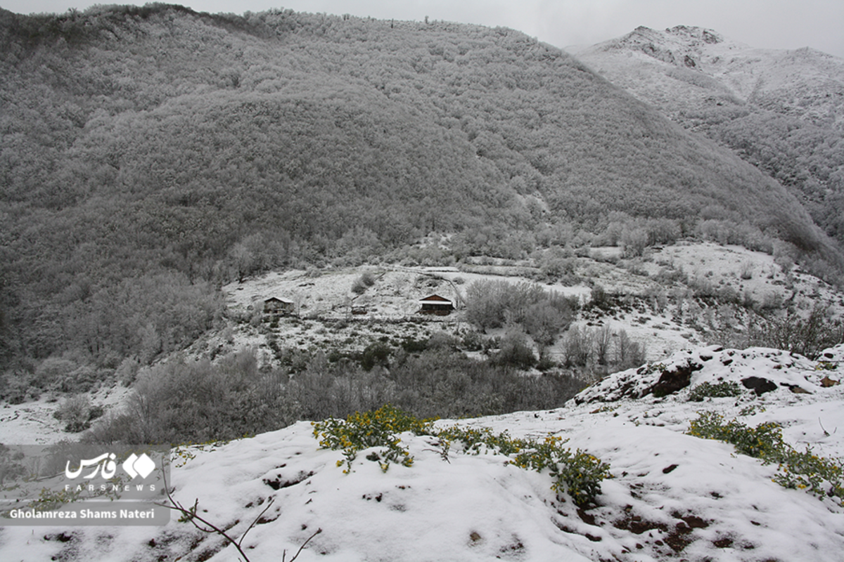روستای ناتر چالوس