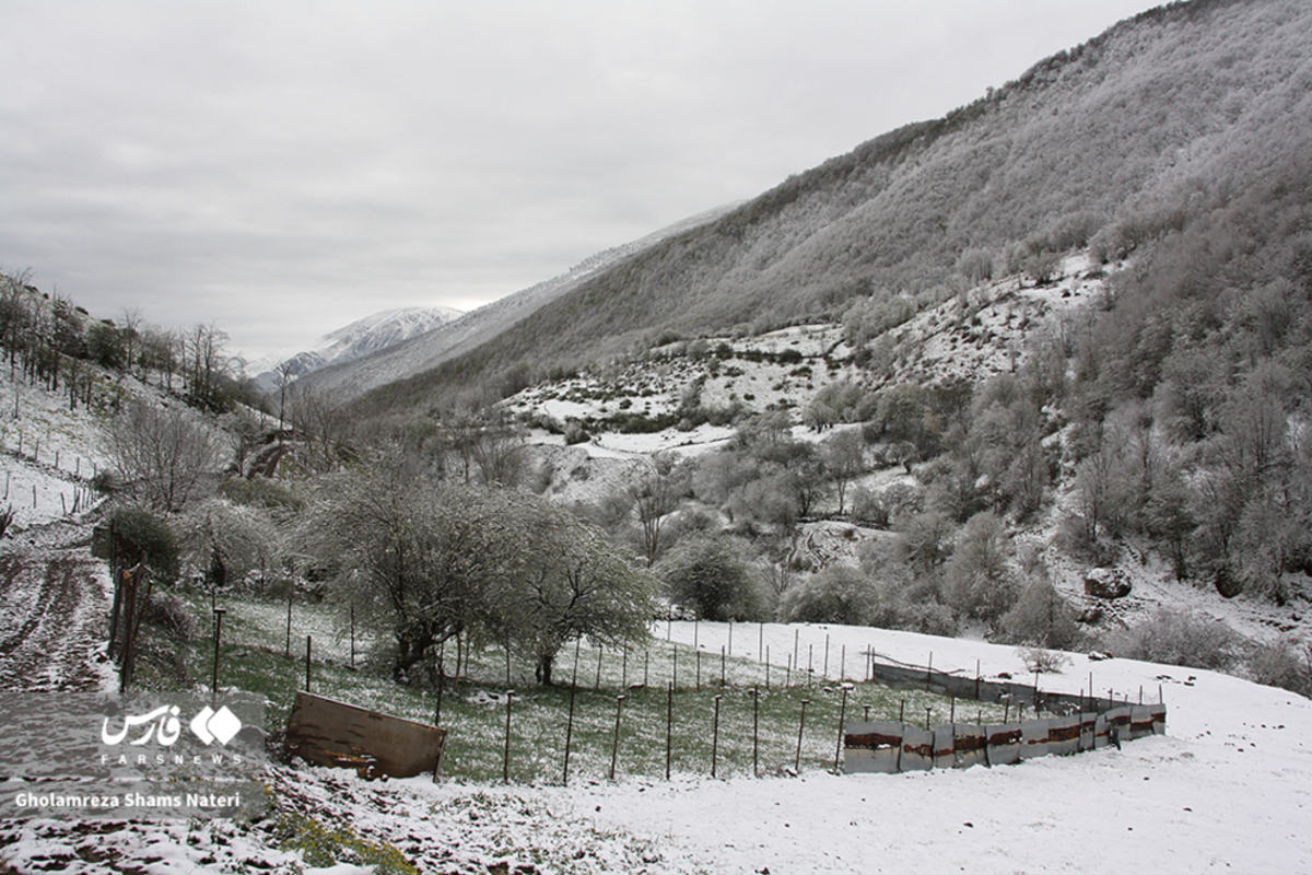 روستای ناتر چالوس