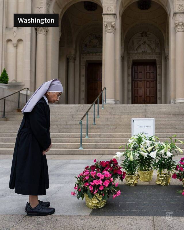 پاپ فرانسیس