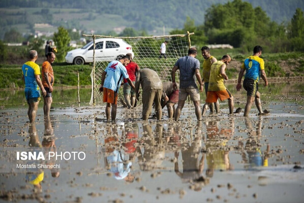 فوتبال شالیزاری مازندران