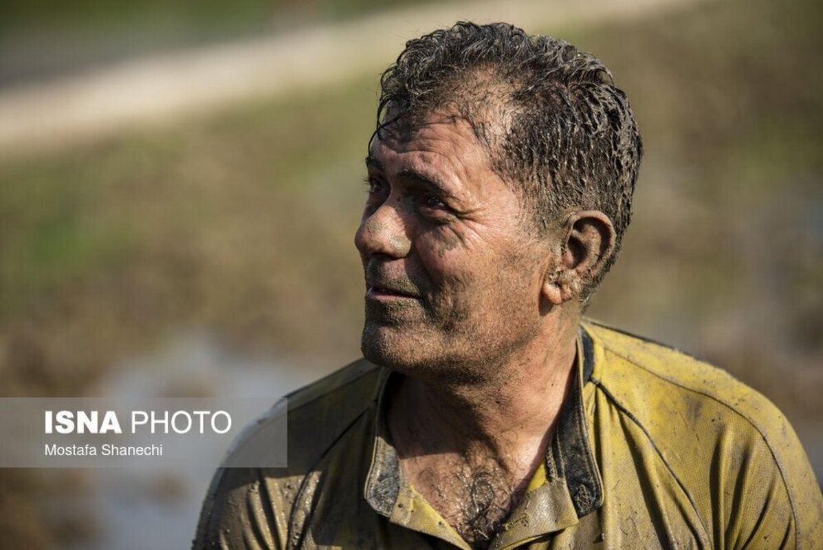 فوتبال شالیزاری مازندران