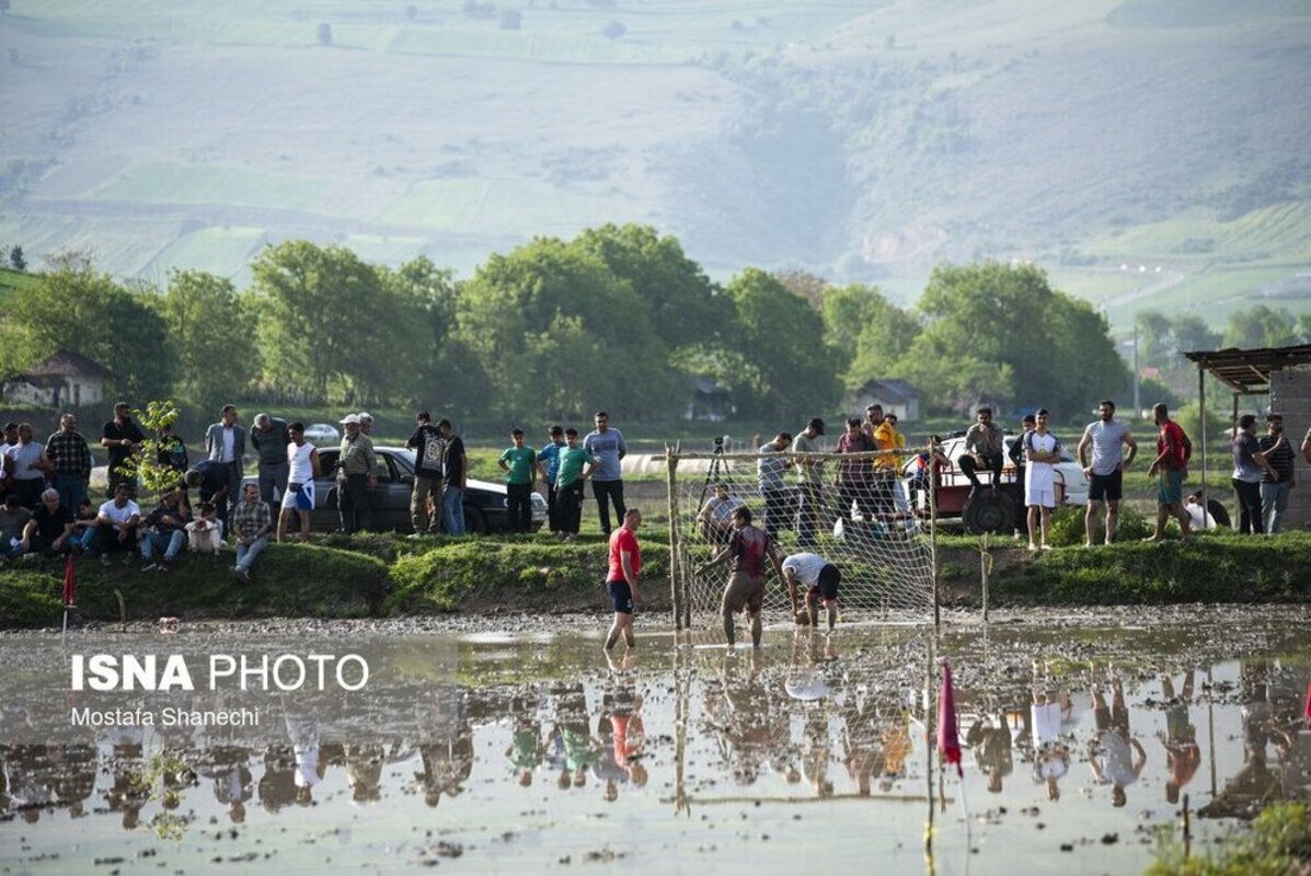 فوتبال شالیزاری مازندران