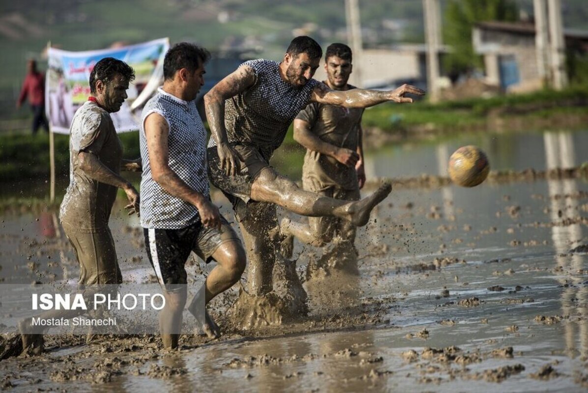فوتبال شالیزاری مازندران
