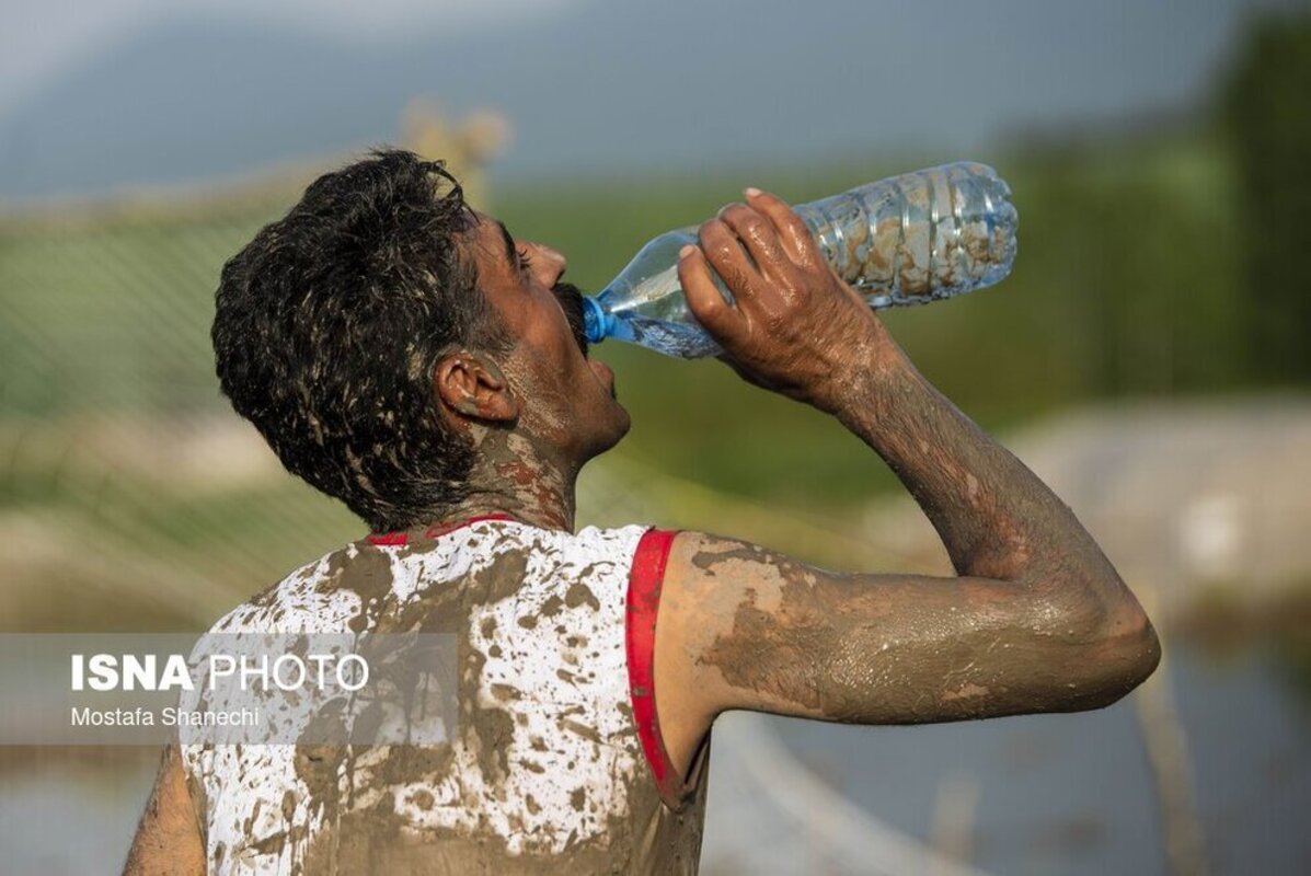 فوتبال شالیزاری مازندران