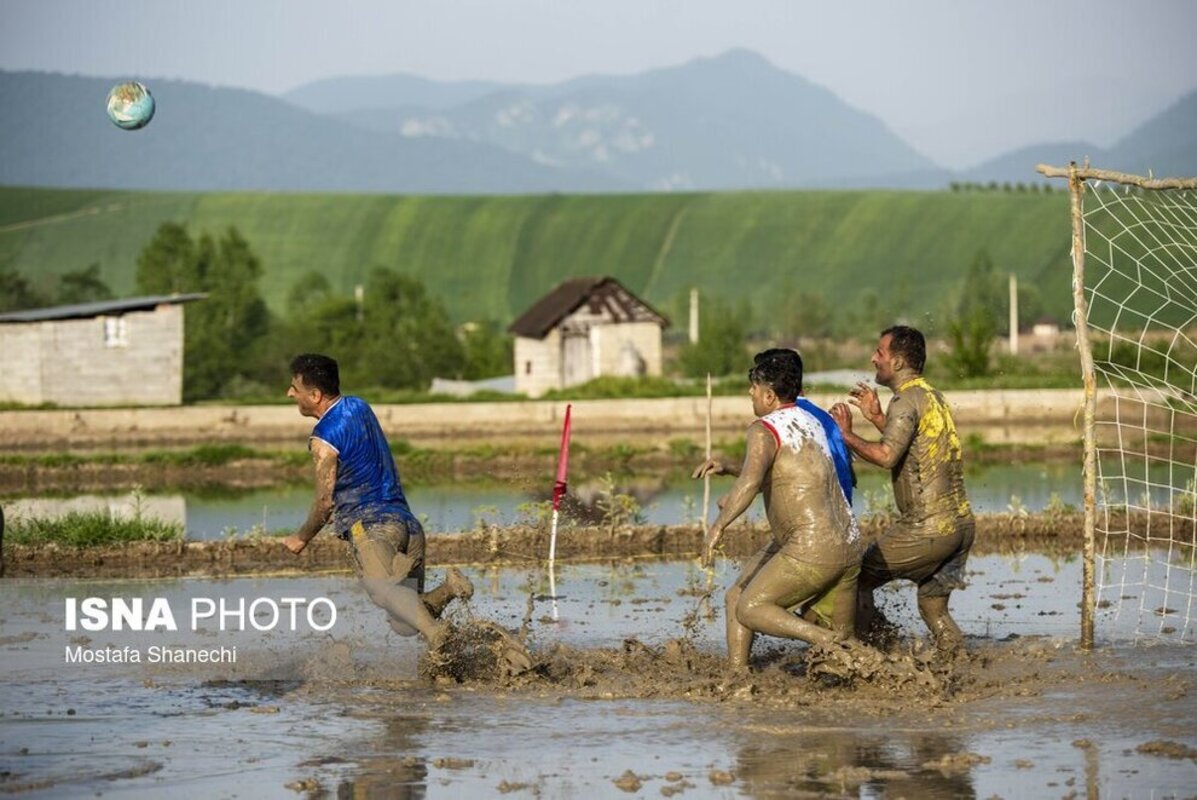 فوتبال شالیزاری مازندران