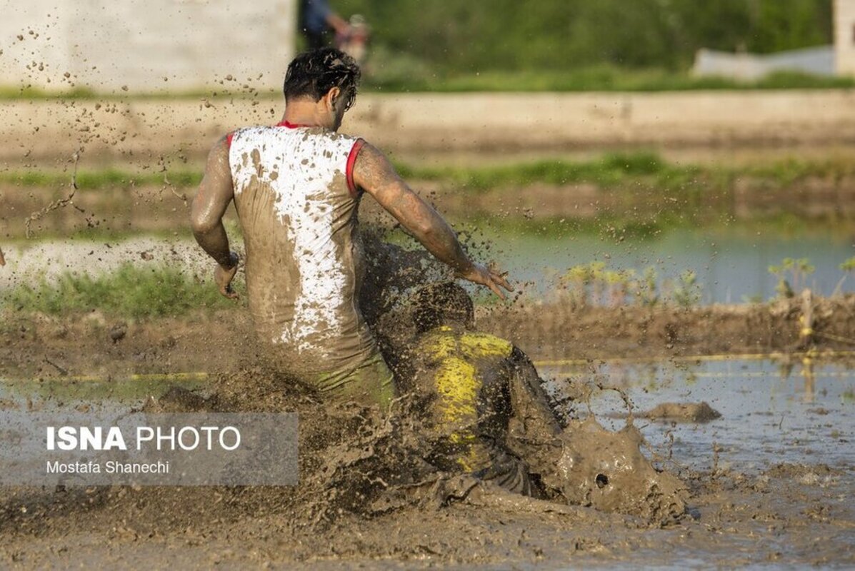فوتبال شالیزاری مازندران