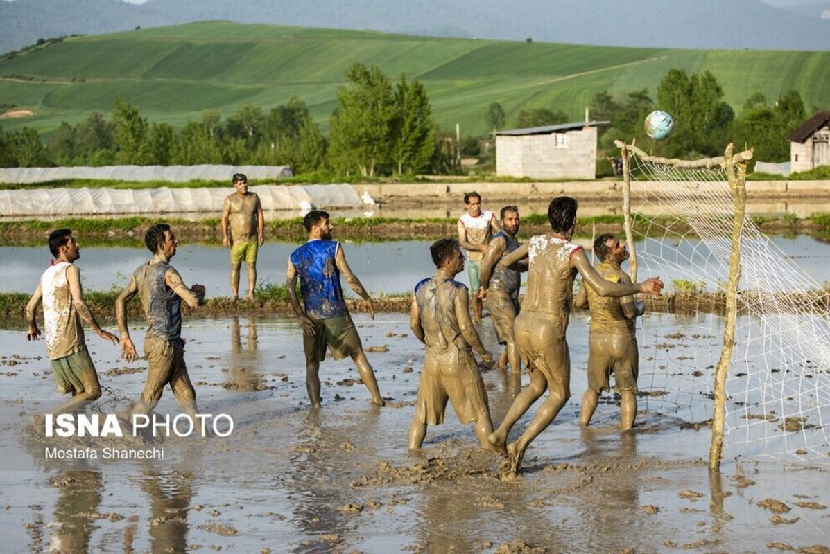 فوتبال شالیزاری مازندران