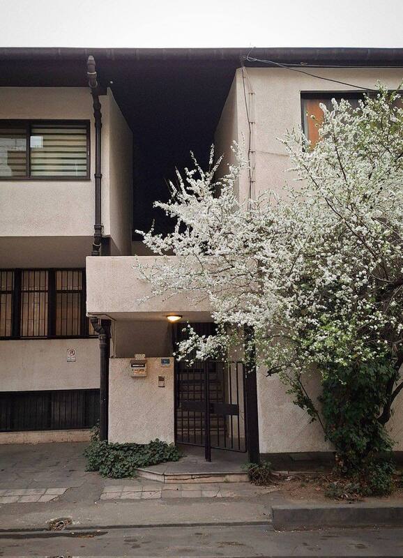 کوچه های تهران