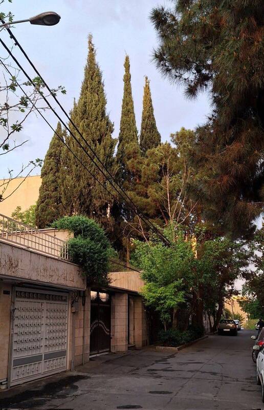 کوچه های تهران