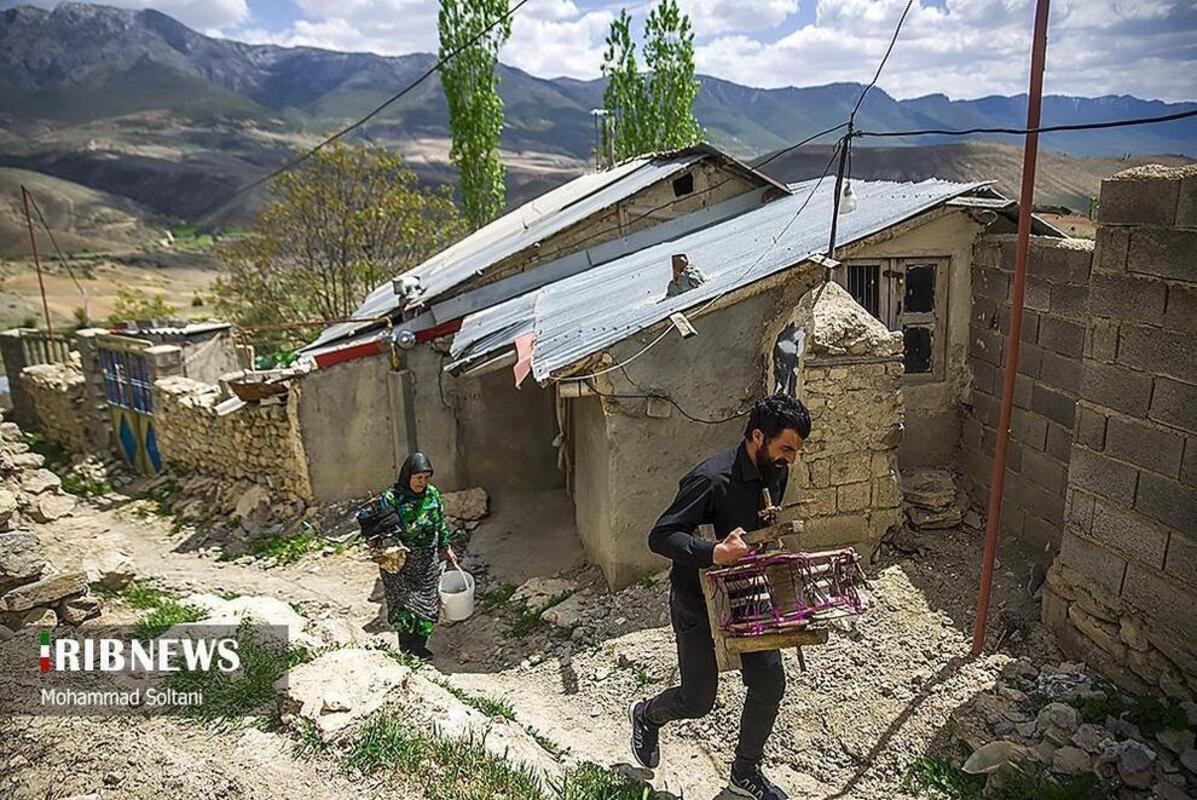 هنر گلیج بافی در مازندران